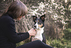 female Border-Collie-Mongrel