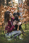 Hound-Mongrel