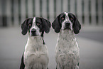 mongrels