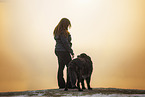 Leonberger-Mongrel