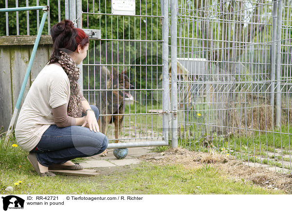 Frau im Tierheim / woman in pound / RR-42721