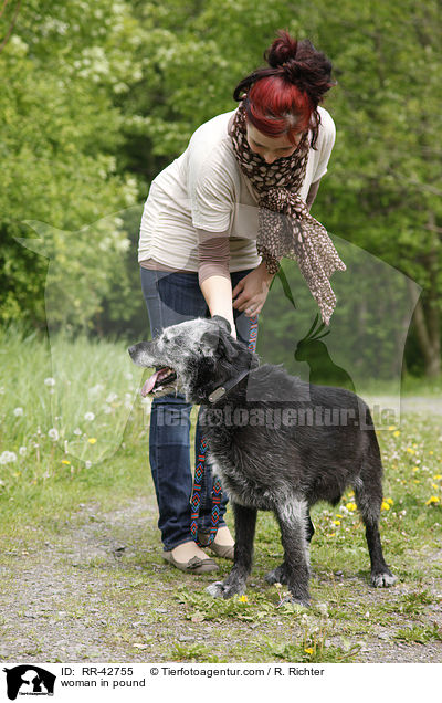 Frau im Tierheim / woman in pound / RR-42755