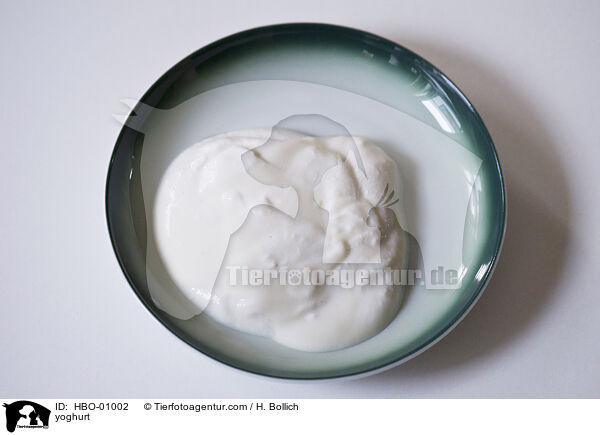 yoghurt / HBO-01002