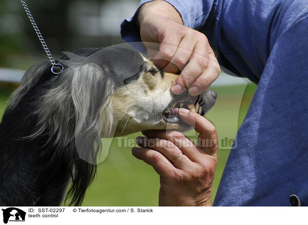 Gebisskontrolle / teeth control / SST-02297