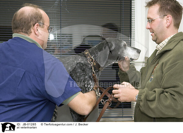 beim Tierarzt / at veterinarian / JB-01285