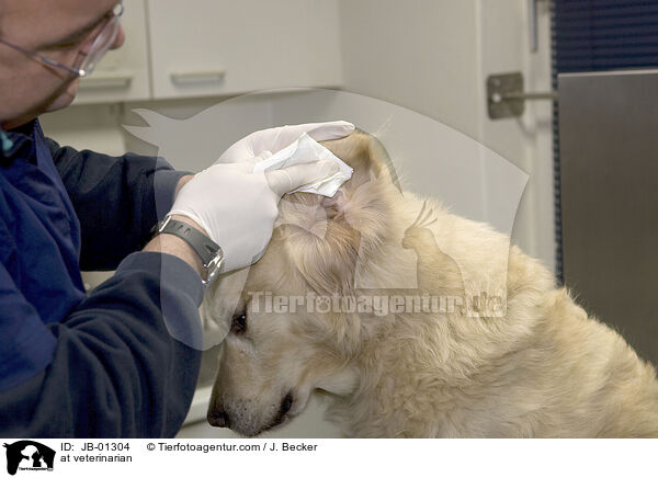 beim Tierarzt / at veterinarian / JB-01304