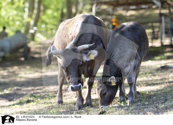 Allgaeu Bavaria / LR-01023