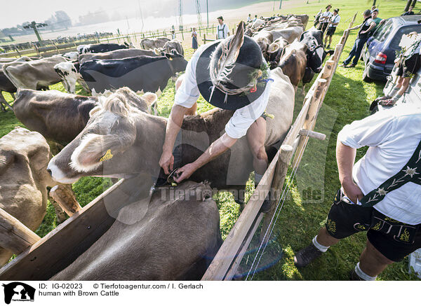 Mensch mit Braunvieh / human with Brown Cattle / IG-02023