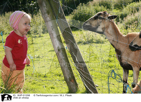 Kind und Kamerunschaf / child an sheep / WJP-01298