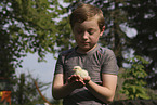 boy with Chicken