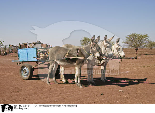 Eselskarren / Donkey cart / HJ-02161
