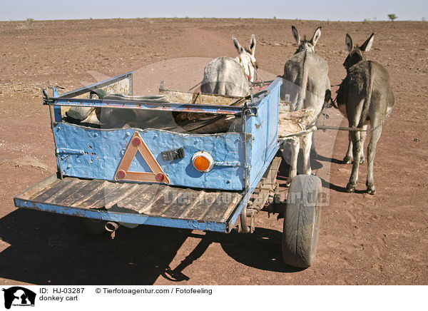 Eselskarren / donkey cart / HJ-03287