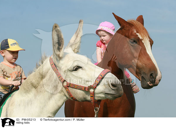 Kinderreiten / riding kids / PM-05213