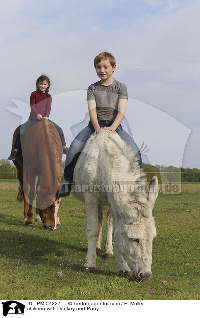 Kinder mit Esel und Pony / children with Donkey and Pony / PM-07227