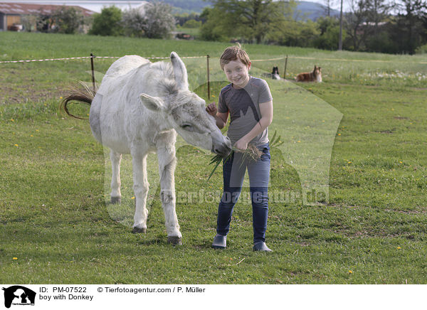 Junge mit Esel / boy with Donkey / PM-07522