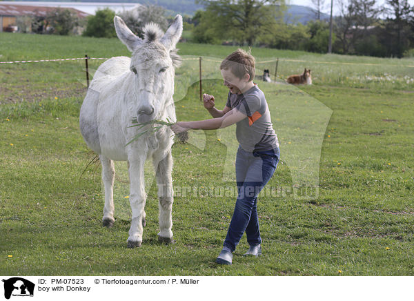 boy with Donkey / PM-07523