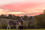 woman and donkey