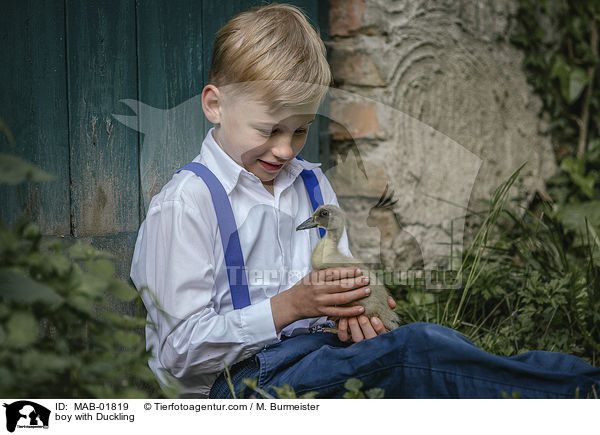 Junge mit Entenkken / boy with Duckling / MAB-01819