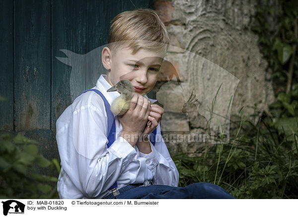Junge mit Entenkken / boy with Duckling / MAB-01820