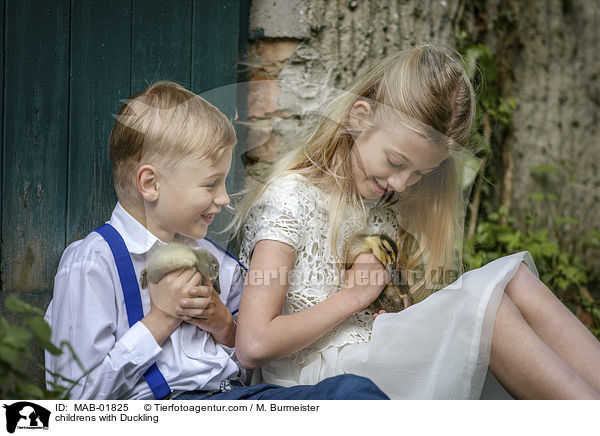 childrens with Duckling / MAB-01825