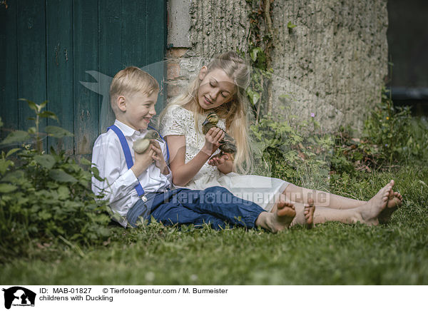 childrens with Duckling / MAB-01827