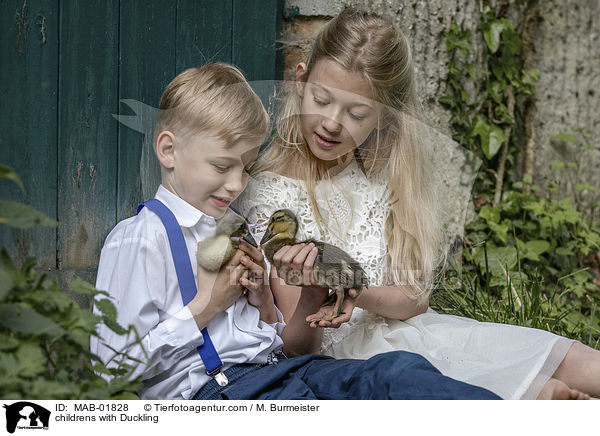 Kinder mit Entenkken / childrens with Duckling / MAB-01828