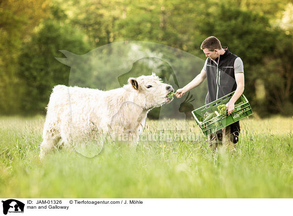 Mann und Galloway / man and Galloway / JAM-01326