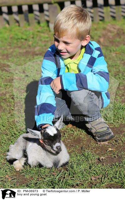 Junge und junge Ziege / boy and young goat / PM-06973