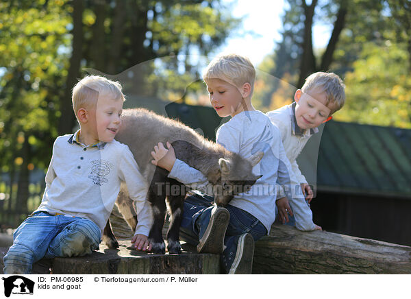 Ziege und Kinder / kids and goat / PM-06985
