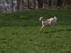 running young kid