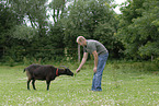 man and goat