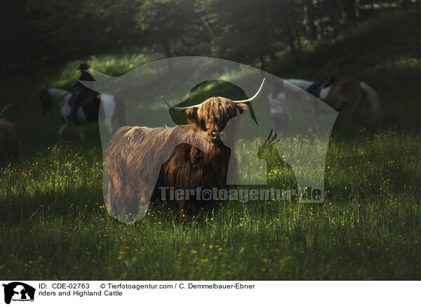 Reiter und Schottisches Hochlandrind / riders and Highland Cattle / CDE-02763