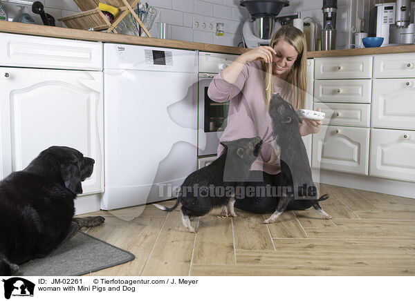 woman with Mini Pigs and Dog / JM-02261