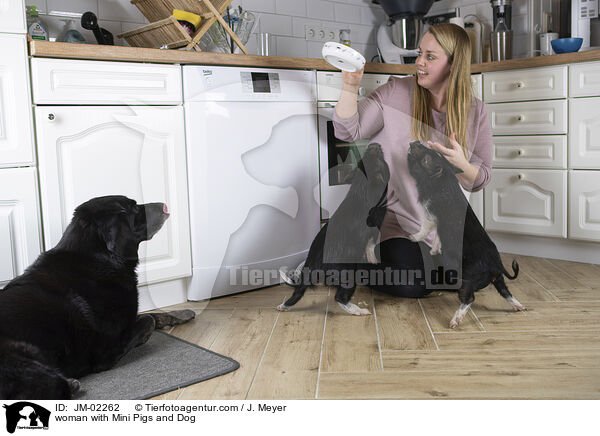 woman with Mini Pigs and Dog / JM-02262