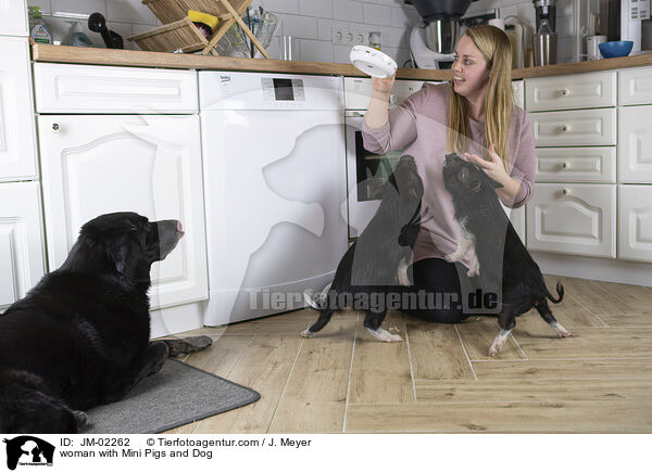 Frau mit Minischweinen und Hund / woman with Mini Pigs and Dog / JM-02262