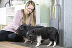 woman with Mini Pigs