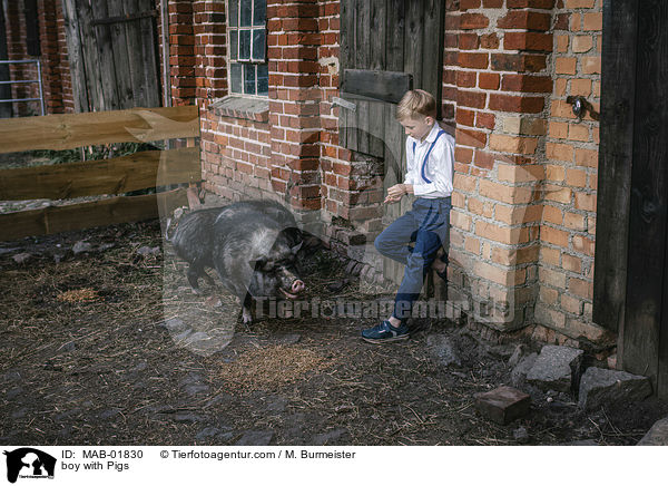 boy with Pigs / MAB-01830