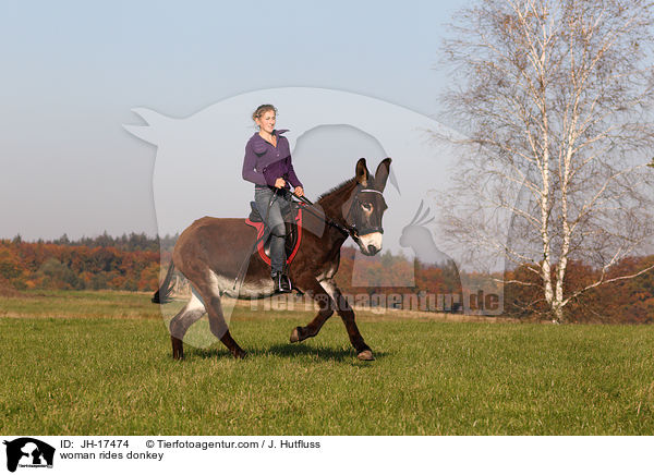 woman rides donkey / JH-17474
