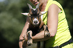 woman with pygmy goat