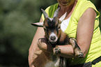 woman with pygmy goat