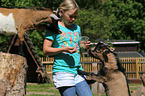 girl and pygmy goats