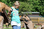 girl and pygmy goats