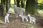 sheep mother with lambs