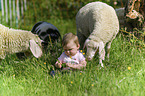 child with Sheeps