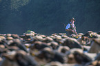 Shepherd with flock of Sheep