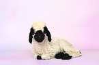 Valais Blacknose lamb