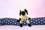 Valais Blacknose lamb