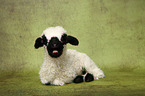 lamb