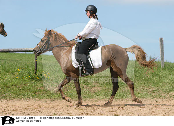 Frau reitet Aegidienberger / woman rides horse / PM-04054
