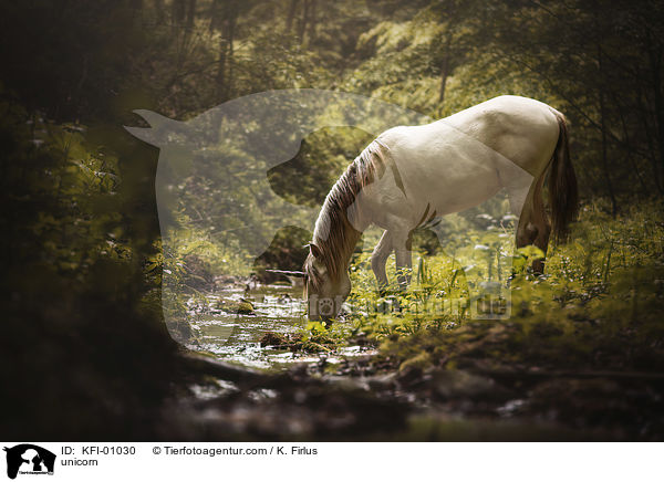 unicorn / KFI-01030